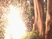 Filename=extant_StarTrek_VOY_7x09_7x10-FleshAndBlood_2782.jpg
Filesize=275KiB
Dimensions=1200x900
Date added=Jan 13, 2020 extant_StarTrek_VOY_7x09_7x10-FleshAndBlood_2782.jpg