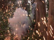 Filename=extant_StarTrek_VOY_7x09_7x10-FleshAndBlood_2783.jpg
Filesize=245KiB
Dimensions=1200x900
Date added=Jan 13, 2020 extant_StarTrek_VOY_7x09_7x10-FleshAndBlood_2783.jpg