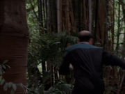 Filename=extant_StarTrek_VOY_7x09_7x10-FleshAndBlood_2784.jpg
Filesize=154KiB
Dimensions=1200x900
Date added=Jan 13, 2020 extant_StarTrek_VOY_7x09_7x10-FleshAndBlood_2784.jpg
