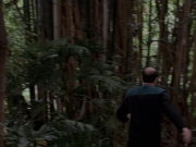 Filename=extant_StarTrek_VOY_7x09_7x10-FleshAndBlood_2785.jpg
Filesize=159KiB
Dimensions=1200x900
Date added=Jan 13, 2020 extant_StarTrek_VOY_7x09_7x10-FleshAndBlood_2785.jpg