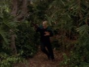 Filename=extant_StarTrek_VOY_7x09_7x10-FleshAndBlood_2786.jpg
Filesize=183KiB
Dimensions=1200x900
Date added=Jan 13, 2020 extant_StarTrek_VOY_7x09_7x10-FleshAndBlood_2786.jpg