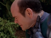 Filename=extant_StarTrek_VOY_7x09_7x10-FleshAndBlood_2806.jpg
Filesize=138KiB
Dimensions=1200x900
Date added=Jan 13, 2020 extant_StarTrek_VOY_7x09_7x10-FleshAndBlood_2806.jpg