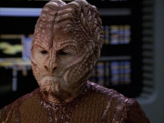 Filename=extant_StarTrek_VOY_7x09_7x10-FleshAndBlood_3180.jpg
Filesize=176KiB
Dimensions=1200x900
Date added=Jan 13, 2020 extant_StarTrek_VOY_7x09_7x10-FleshAndBlood_3180.jpg