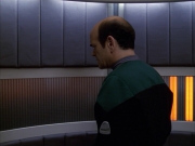 Filename=extant_StarTrek_VOY_7x09_7x10-FleshAndBlood_3546.jpg
Filesize=134KiB
Dimensions=1200x900
Date added=Jan 13, 2020 extant_StarTrek_VOY_7x09_7x10-FleshAndBlood_3546.jpg