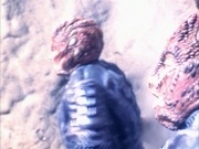 extant_StarTrek_VOY_7x09_7x10-FleshAndBlood_6457.jpg