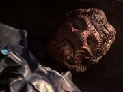 extant_StarTrek_VOY_7x09_7x10-FleshAndBlood_6615.jpg