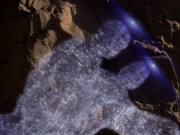 extant_StarTrek_VOY_7x09_7x10-FleshAndBlood_6638.jpg