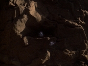 Filename=extant_StarTrek_VOY_7x09_7x10-FleshAndBlood_6640.jpg
Filesize=171KiB
Dimensions=1200x900
Date added=Jan 13, 2020 extant_StarTrek_VOY_7x09_7x10-FleshAndBlood_6640.jpg