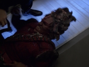 extant_StarTrek_VOY_7x11-Shattered_3166.jpg