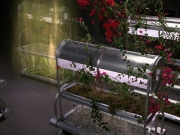 extant_StarTrek_VOY_7x15-TheVoid_0413.jpg