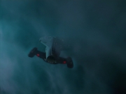 extant_StarTrek_VOY_7x16-WorkforcePart1_1264.jpg