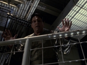 Filename=extant_StarTrek_VOY_7x16-WorkforcePart1_3620.jpg
Filesize=181KiB
Dimensions=1200x900
Date added=Jan 16, 2020 extant_StarTrek_VOY_7x16-WorkforcePart1_3620.jpg