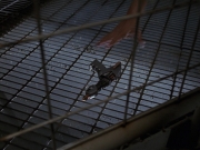 extant_StarTrek_VOY_7x17-WorkforcePart2_0163.jpg