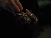Filename=extant_StarTrek_VOY_7x18-HumanError_1257.jpg
Filesize=86KiB
Dimensions=1200x900
Date added=Jan 16, 2020 extant_StarTrek_VOY_7x18-HumanError_1257.jpg