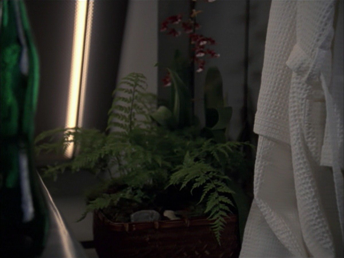 extant_StarTrek_VOY_7x19-Q2_1092.jpg