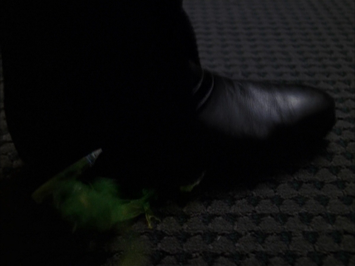 extant_StarTrek_VOY_7x19-Q2_1366.jpg
