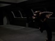 extant_StarTrek_VOY_7x19-Q2_3269.jpg