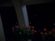 Filename=extant_StarTrek_VOY_7x19-Q2_3624.jpg
Filesize=94KiB
Dimensions=1200x900
Date added=Jan 16, 2020 extant_StarTrek_VOY_7x19-Q2_3624.jpg