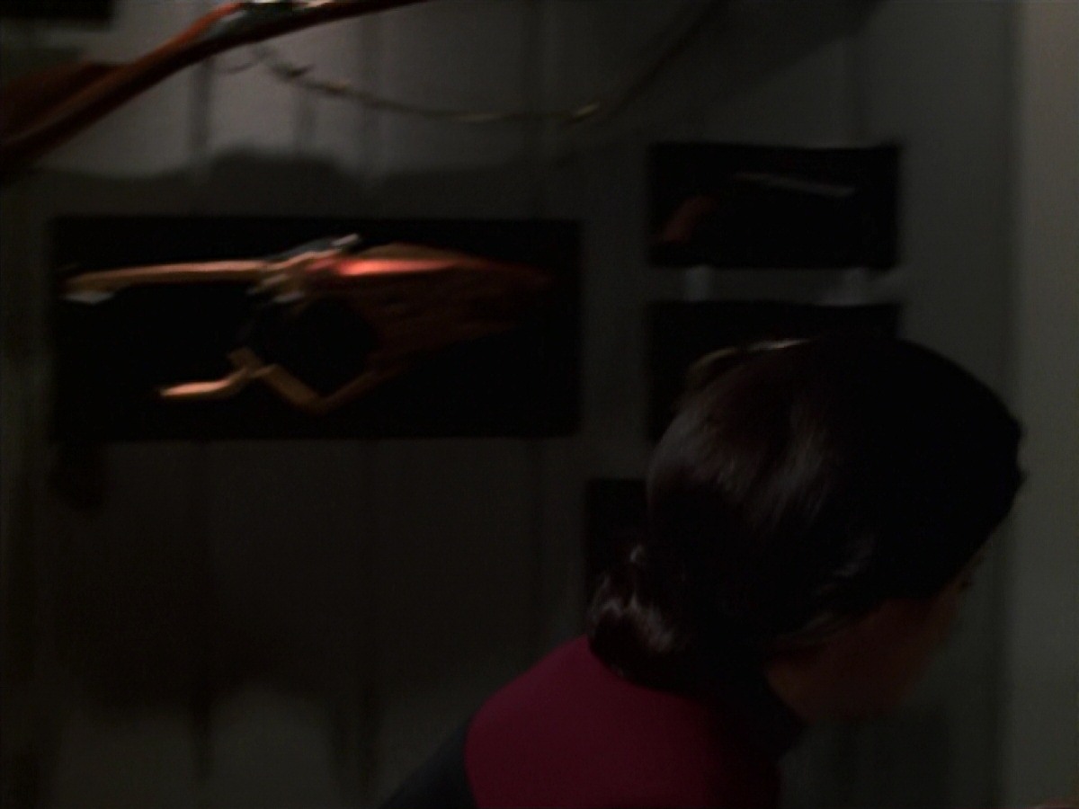extant_StarTrek_VOY_7x20-AuthorAuthor_1219.jpg