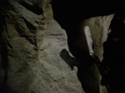 Filename=extant_StarTrek_VOY_7x20-AuthorAuthor_3619.jpg
Filesize=161KiB
Dimensions=1200x900
Date added=Jan 16, 2020 extant_StarTrek_VOY_7x20-AuthorAuthor_3619.jpg