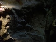 Filename=extant_StarTrek_VOY_7x20-AuthorAuthor_3627.jpg
Filesize=175KiB
Dimensions=1200x900
Date added=Jan 16, 2020 extant_StarTrek_VOY_7x20-AuthorAuthor_3627.jpg