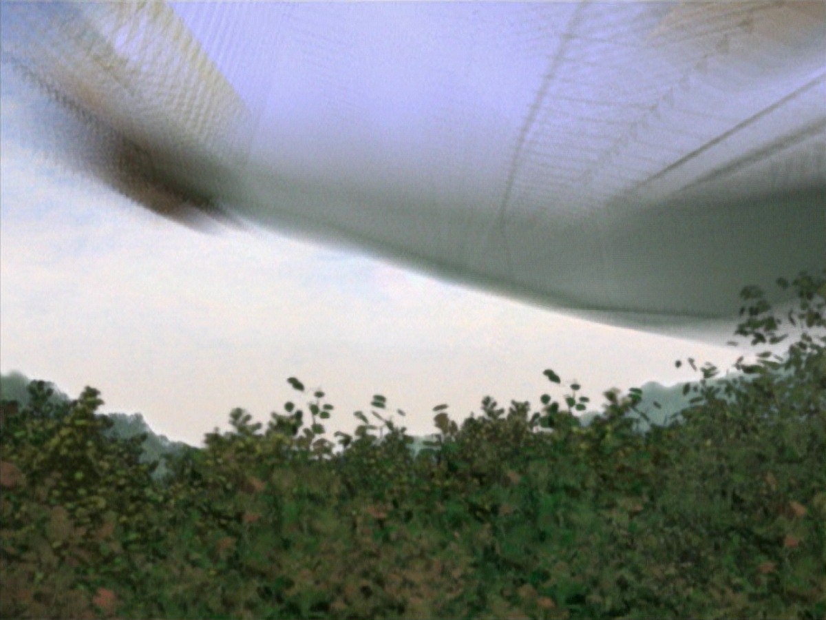 extant_StarTrek_VOY_7x22-NaturalLaw_0135.jpg