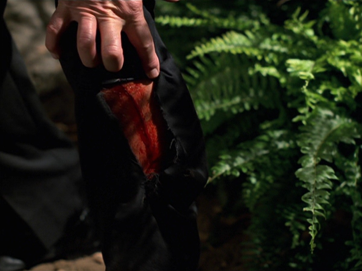 extant_StarTrek_VOY_7x22-NaturalLaw_0309.jpg