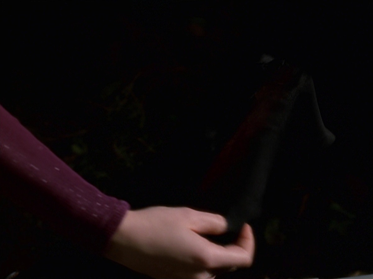 extant_StarTrek_VOY_7x22-NaturalLaw_0338.jpg