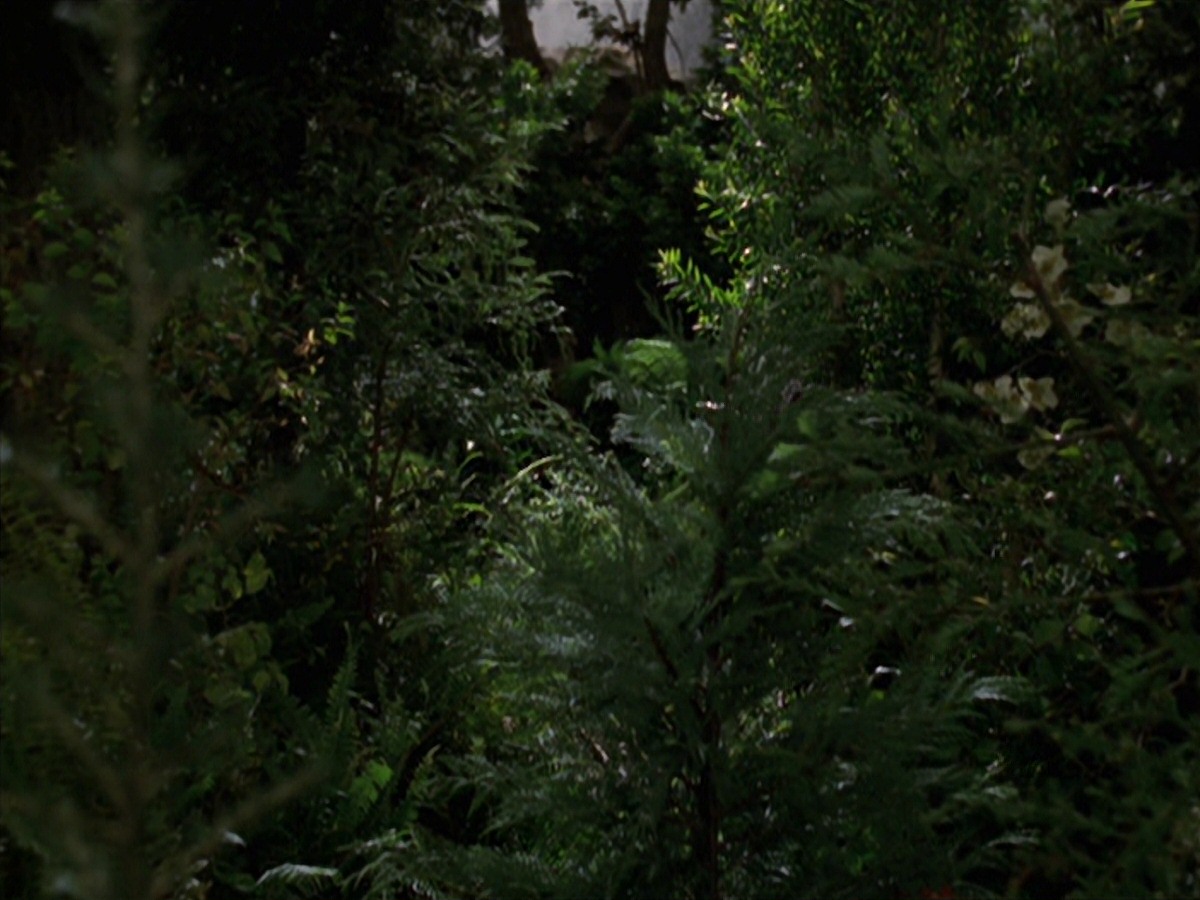 extant_StarTrek_VOY_7x22-NaturalLaw_0515.jpg
