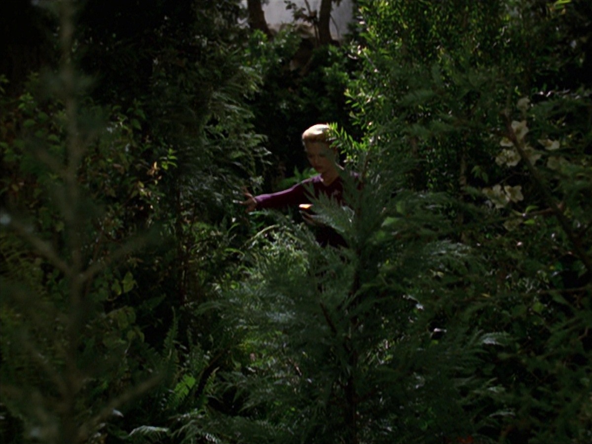 extant_StarTrek_VOY_7x22-NaturalLaw_0516.jpg