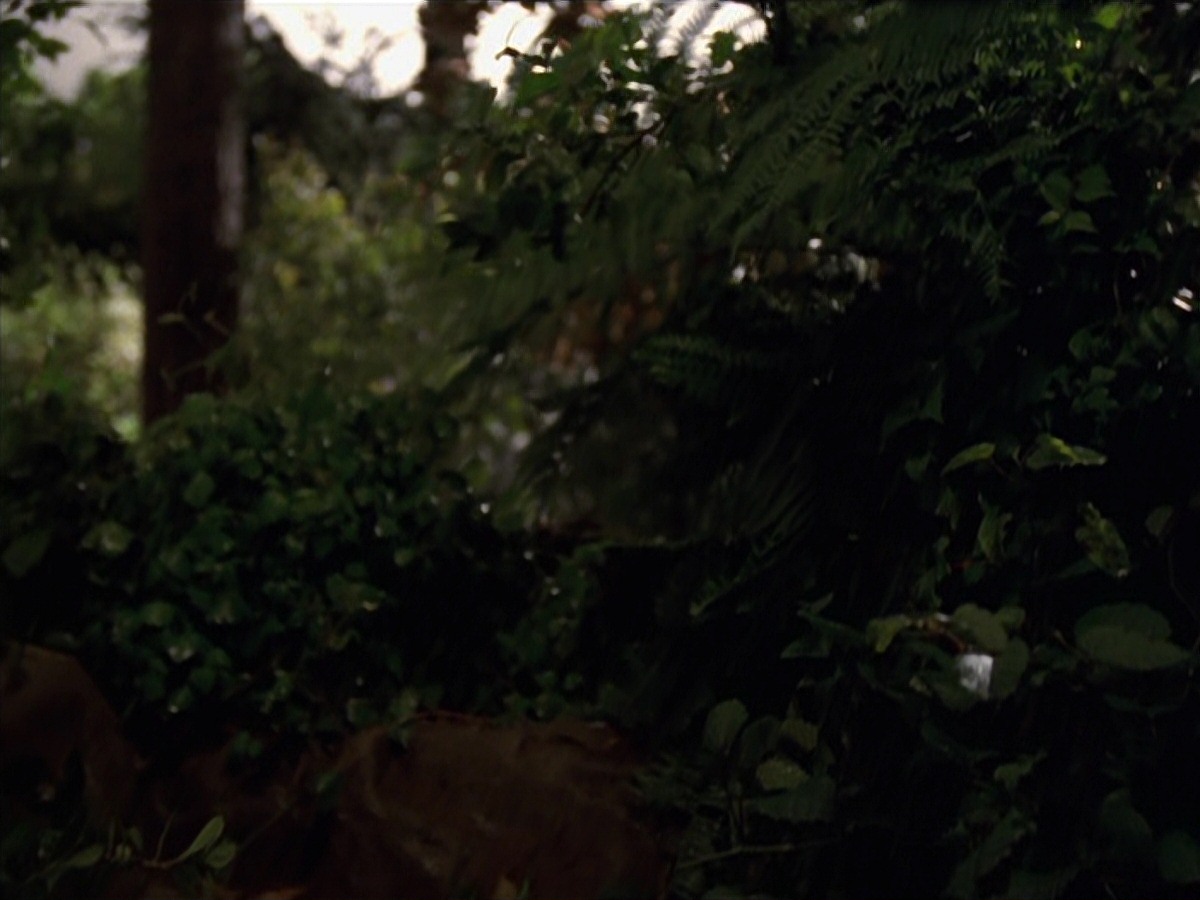 extant_StarTrek_VOY_7x22-NaturalLaw_0598.jpg