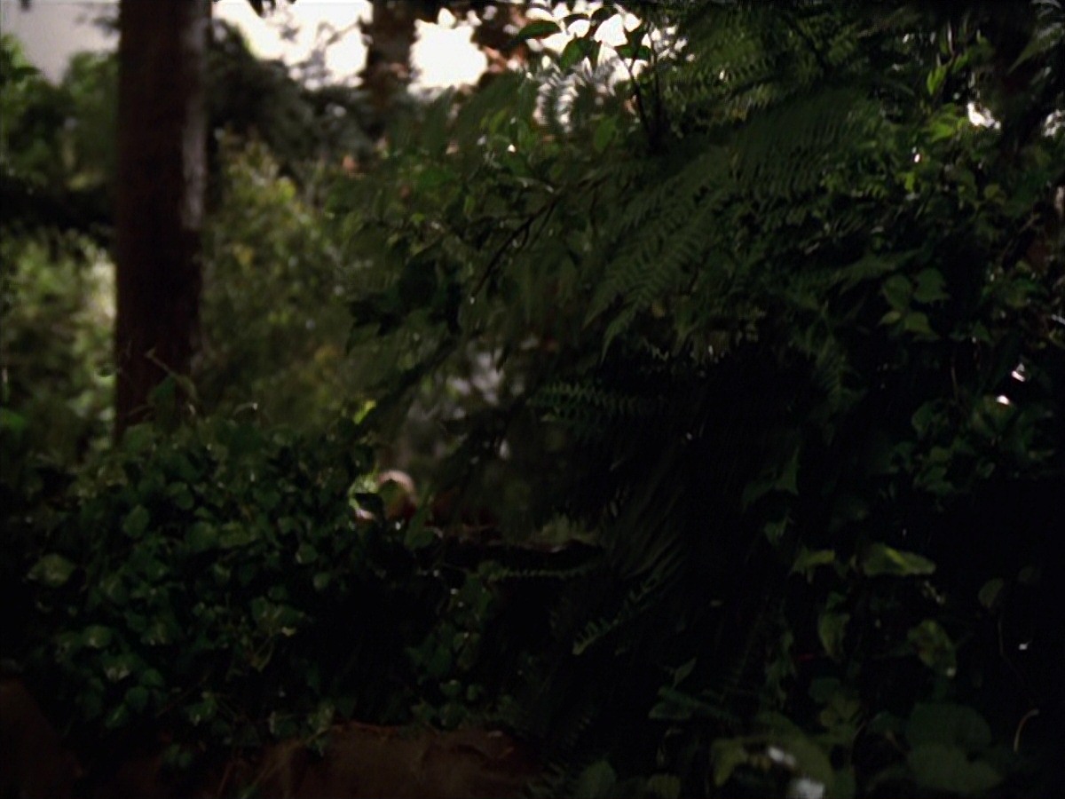 extant_StarTrek_VOY_7x22-NaturalLaw_0599.jpg