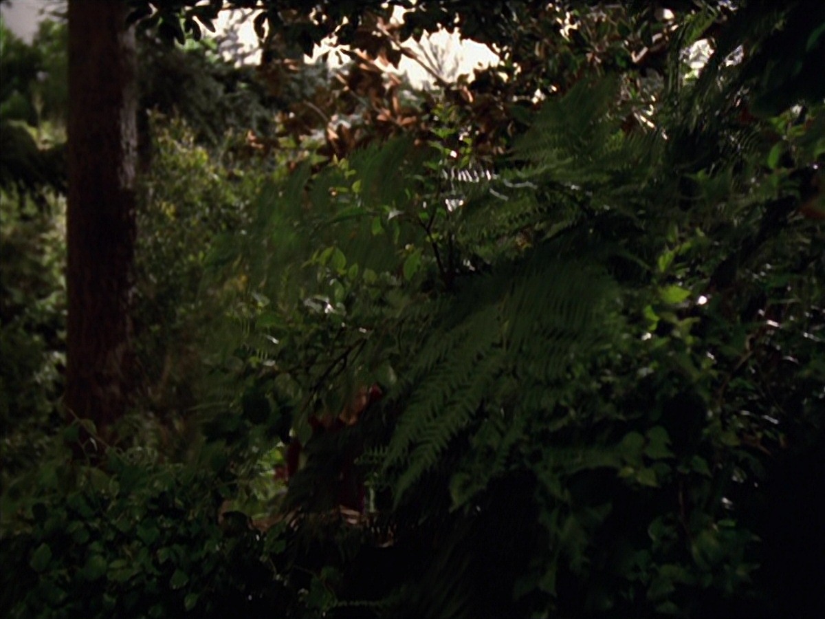 extant_StarTrek_VOY_7x22-NaturalLaw_0601.jpg
