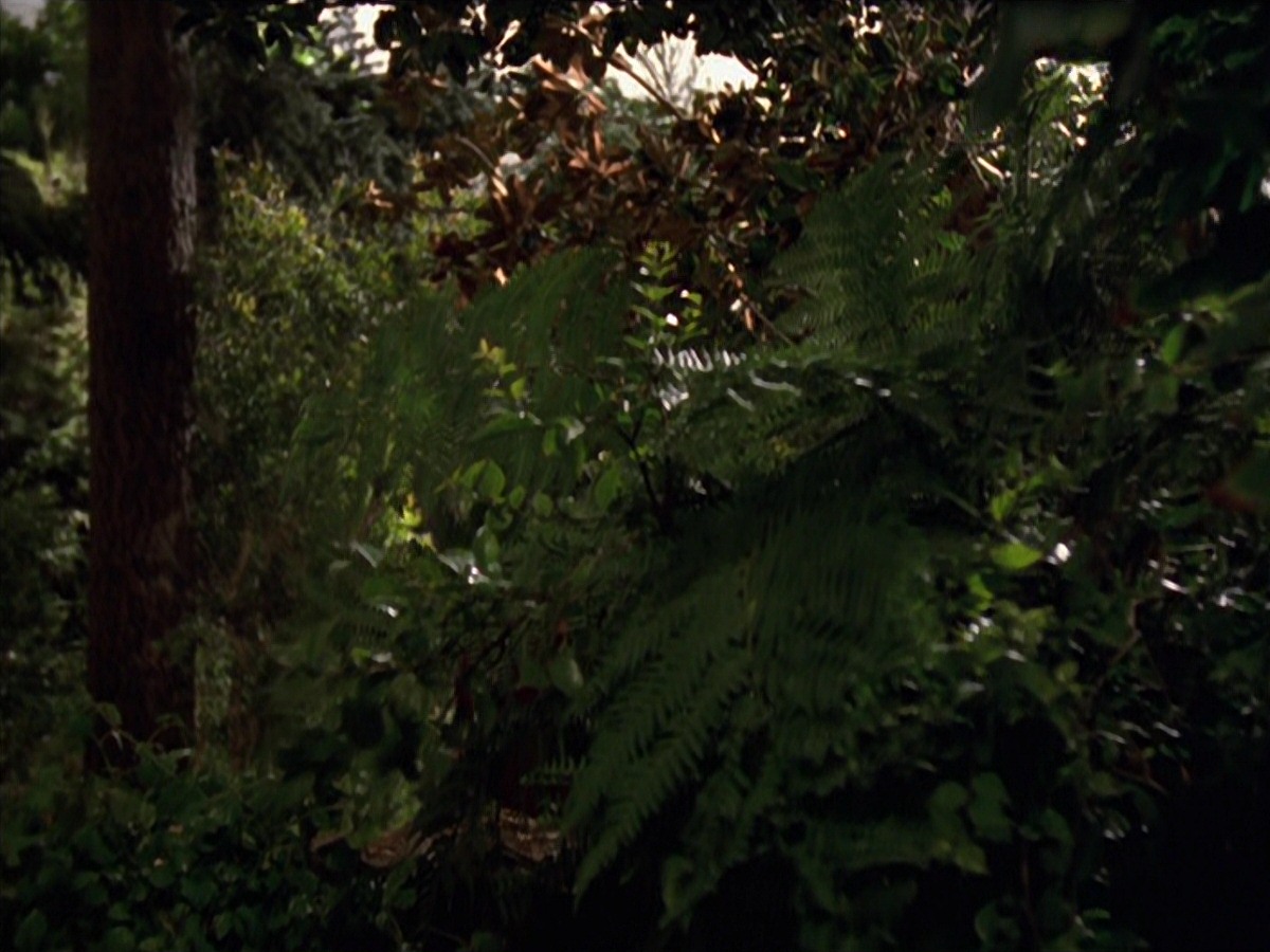 extant_StarTrek_VOY_7x22-NaturalLaw_0602.jpg