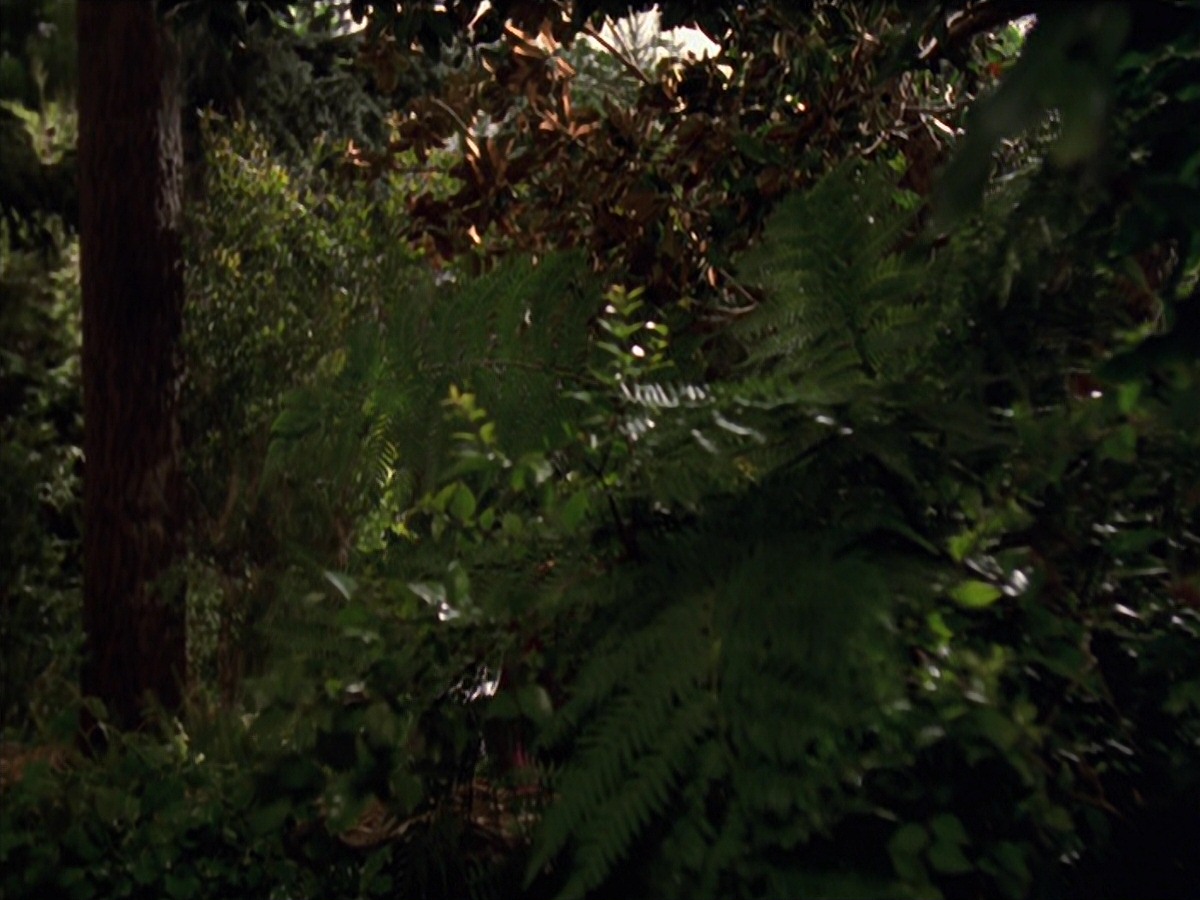extant_StarTrek_VOY_7x22-NaturalLaw_0603.jpg