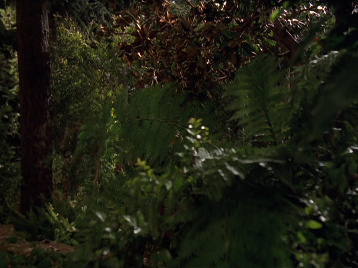 extant_StarTrek_VOY_7x22-NaturalLaw_0605.jpg