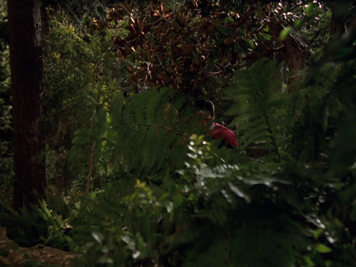 extant_StarTrek_VOY_7x22-NaturalLaw_0606.jpg