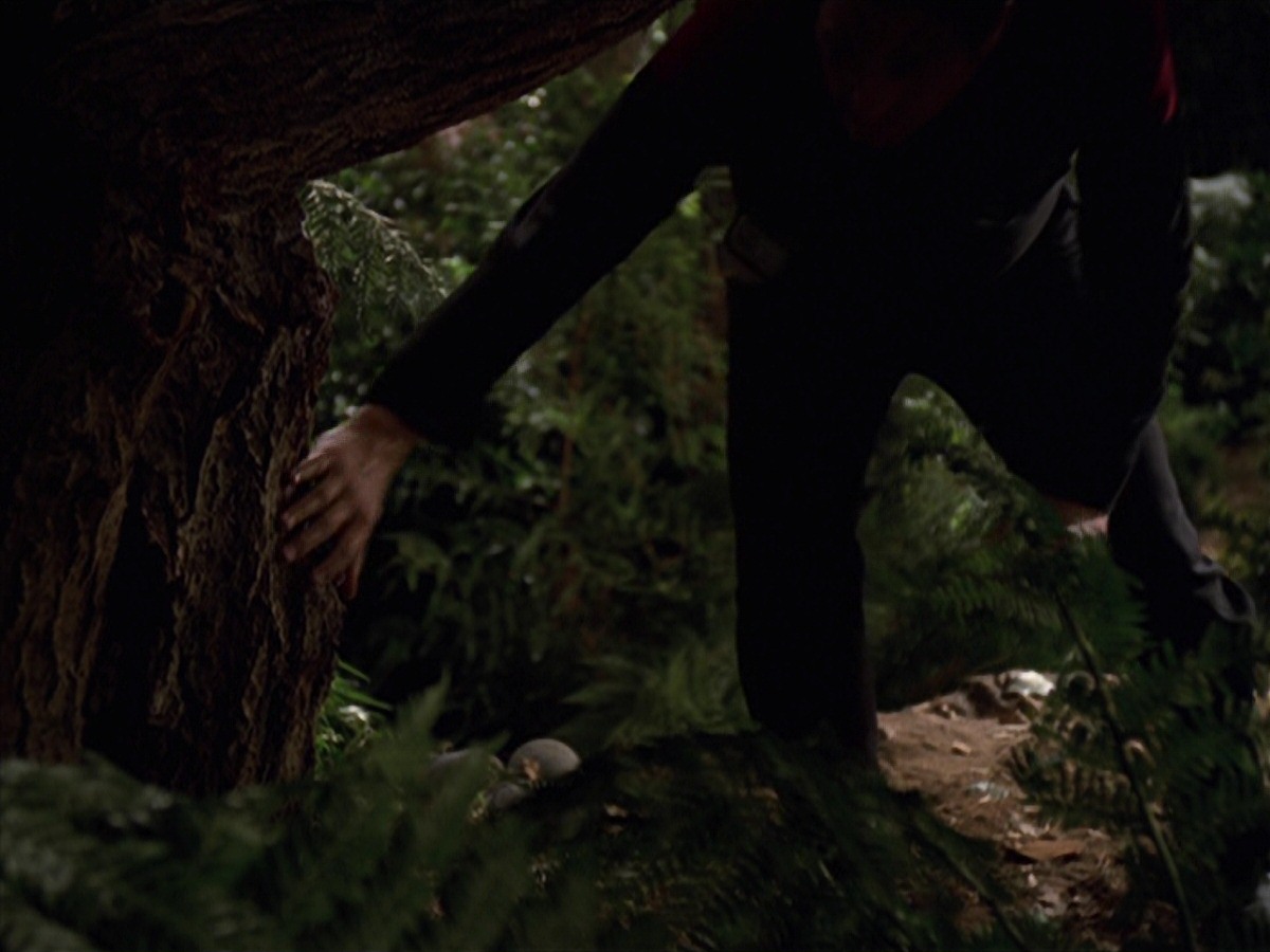 extant_StarTrek_VOY_7x22-NaturalLaw_0701.jpg