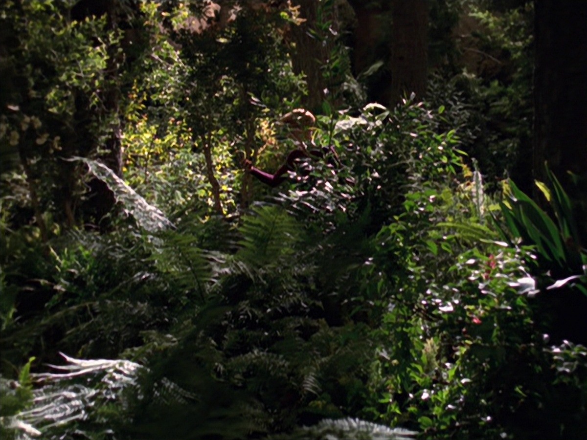 extant_StarTrek_VOY_7x22-NaturalLaw_0712.jpg