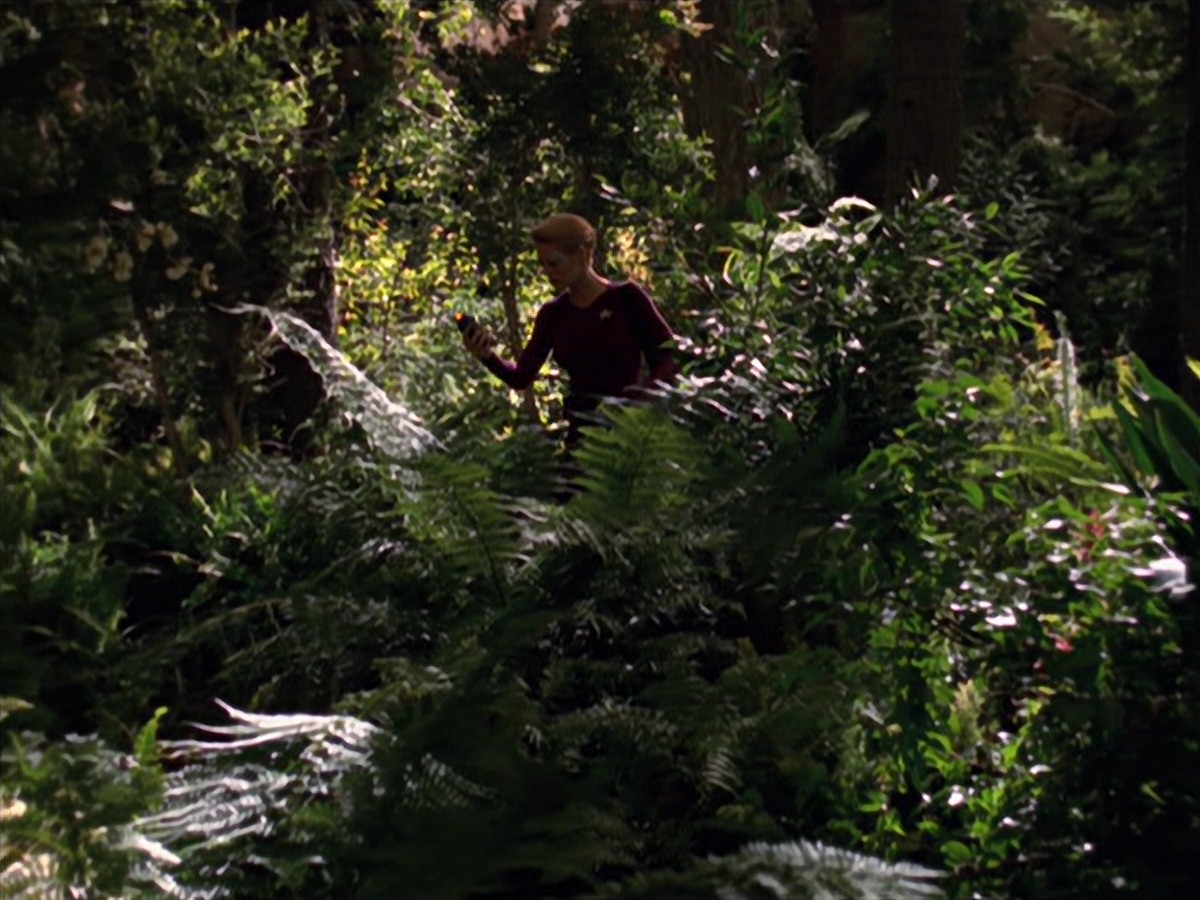 extant_StarTrek_VOY_7x22-NaturalLaw_0713.jpg