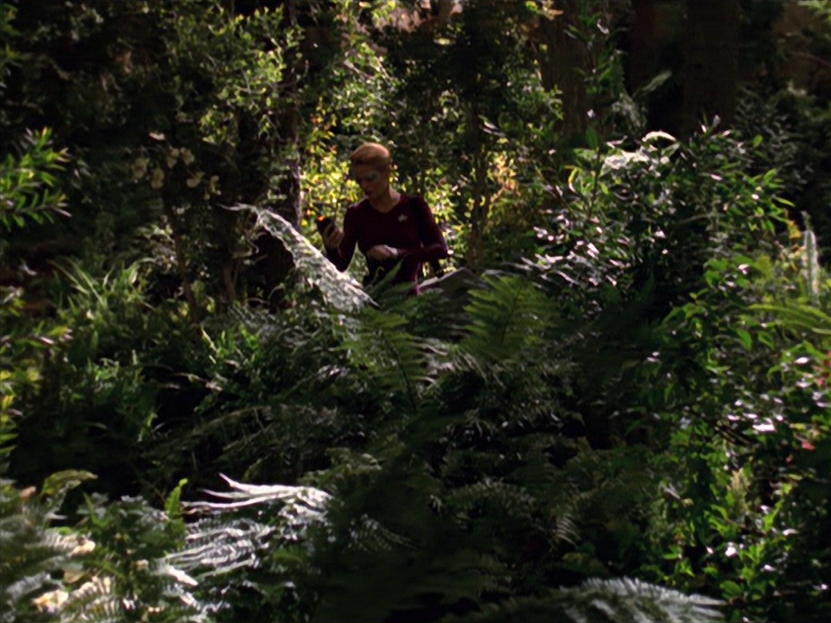 extant_StarTrek_VOY_7x22-NaturalLaw_0714.jpg