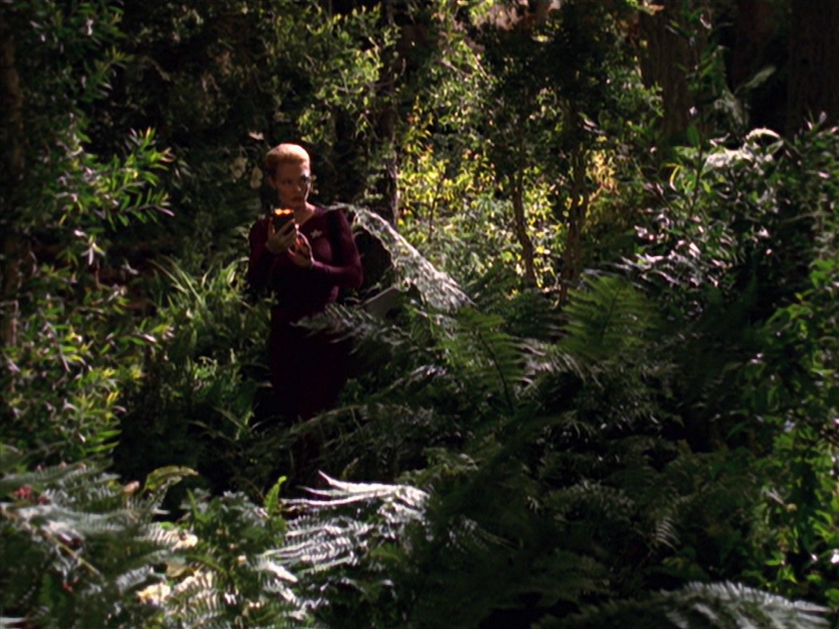 extant_StarTrek_VOY_7x22-NaturalLaw_0717.jpg