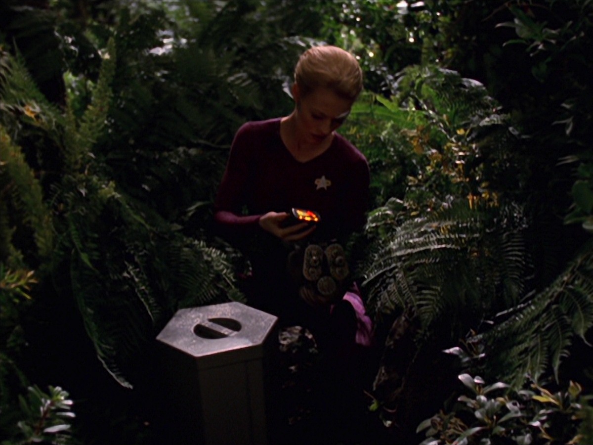 extant_StarTrek_VOY_7x22-NaturalLaw_0743.jpg