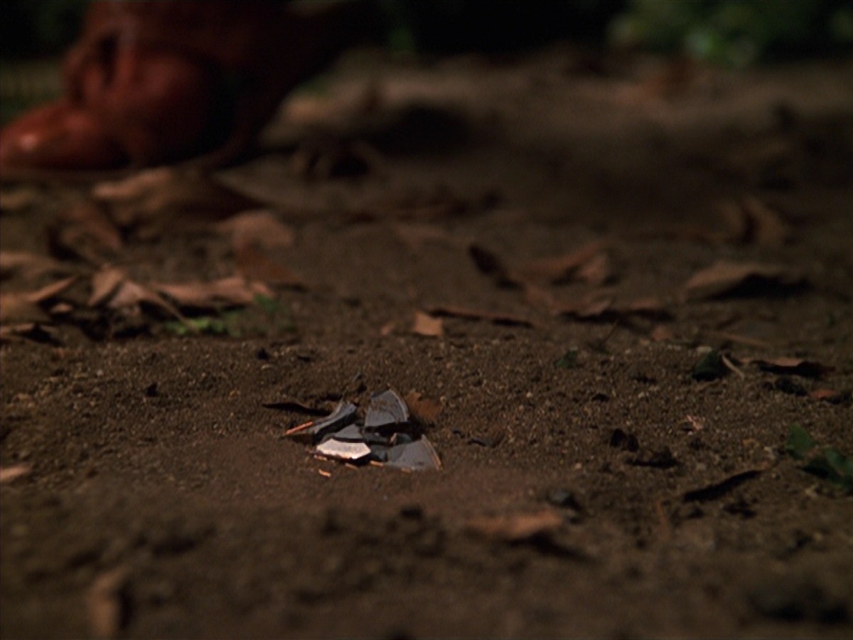 extant_StarTrek_VOY_7x22-NaturalLaw_0778.jpg