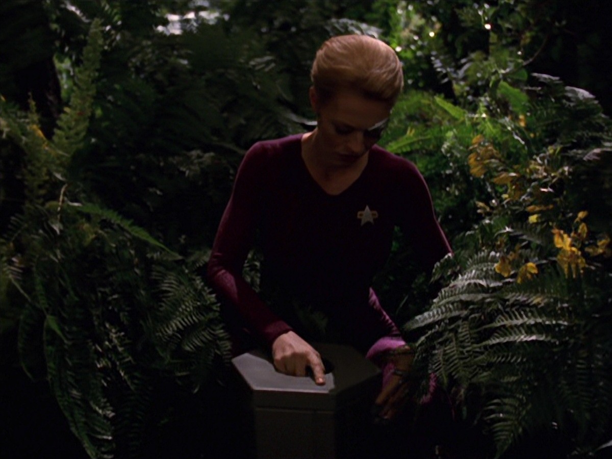 extant_StarTrek_VOY_7x22-NaturalLaw_0789.jpg
