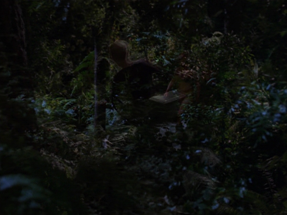 extant_StarTrek_VOY_7x22-NaturalLaw_0797.jpg