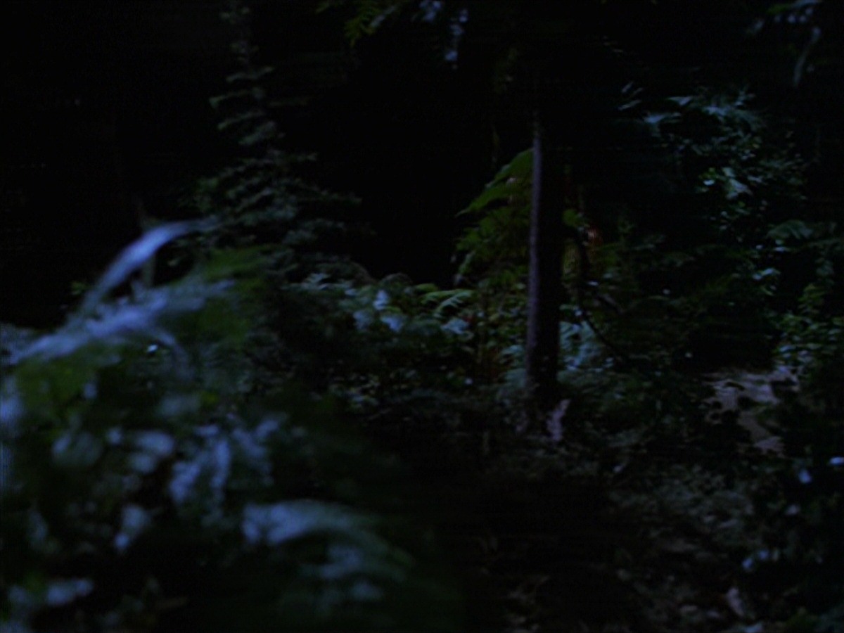 extant_StarTrek_VOY_7x22-NaturalLaw_0799.jpg