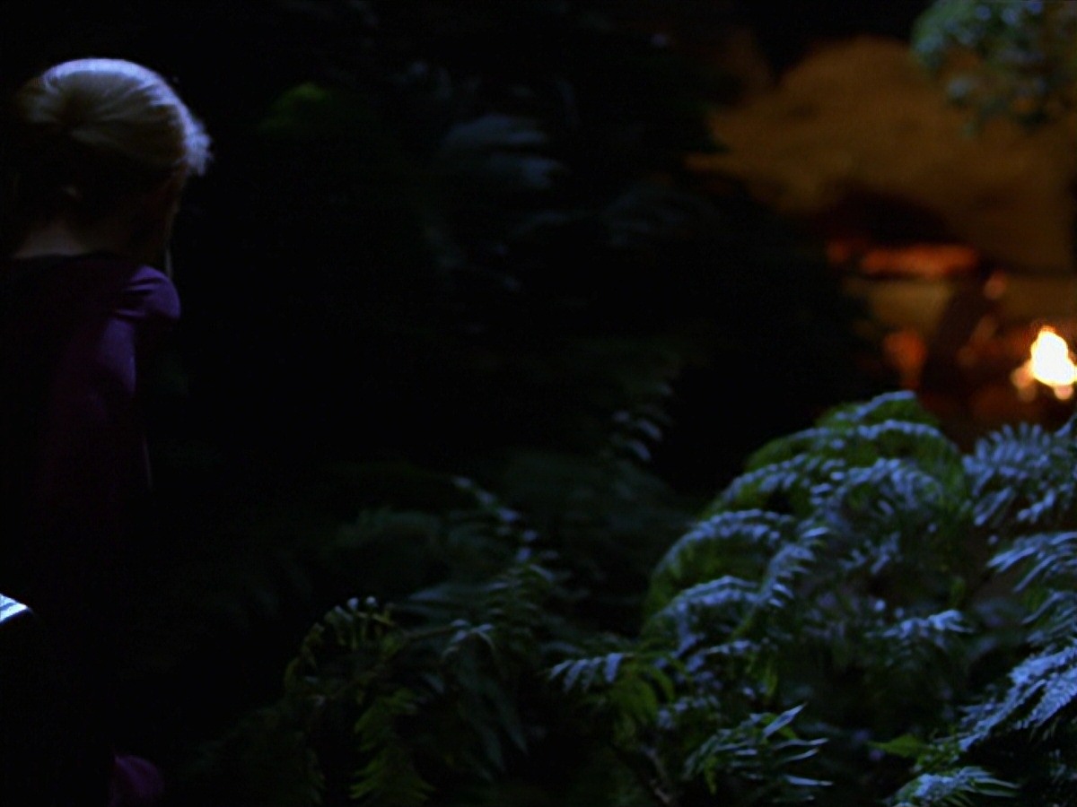 extant_StarTrek_VOY_7x22-NaturalLaw_0813.jpg
