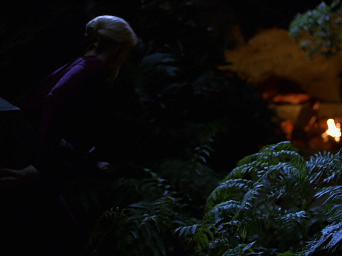 extant_StarTrek_VOY_7x22-NaturalLaw_0814.jpg