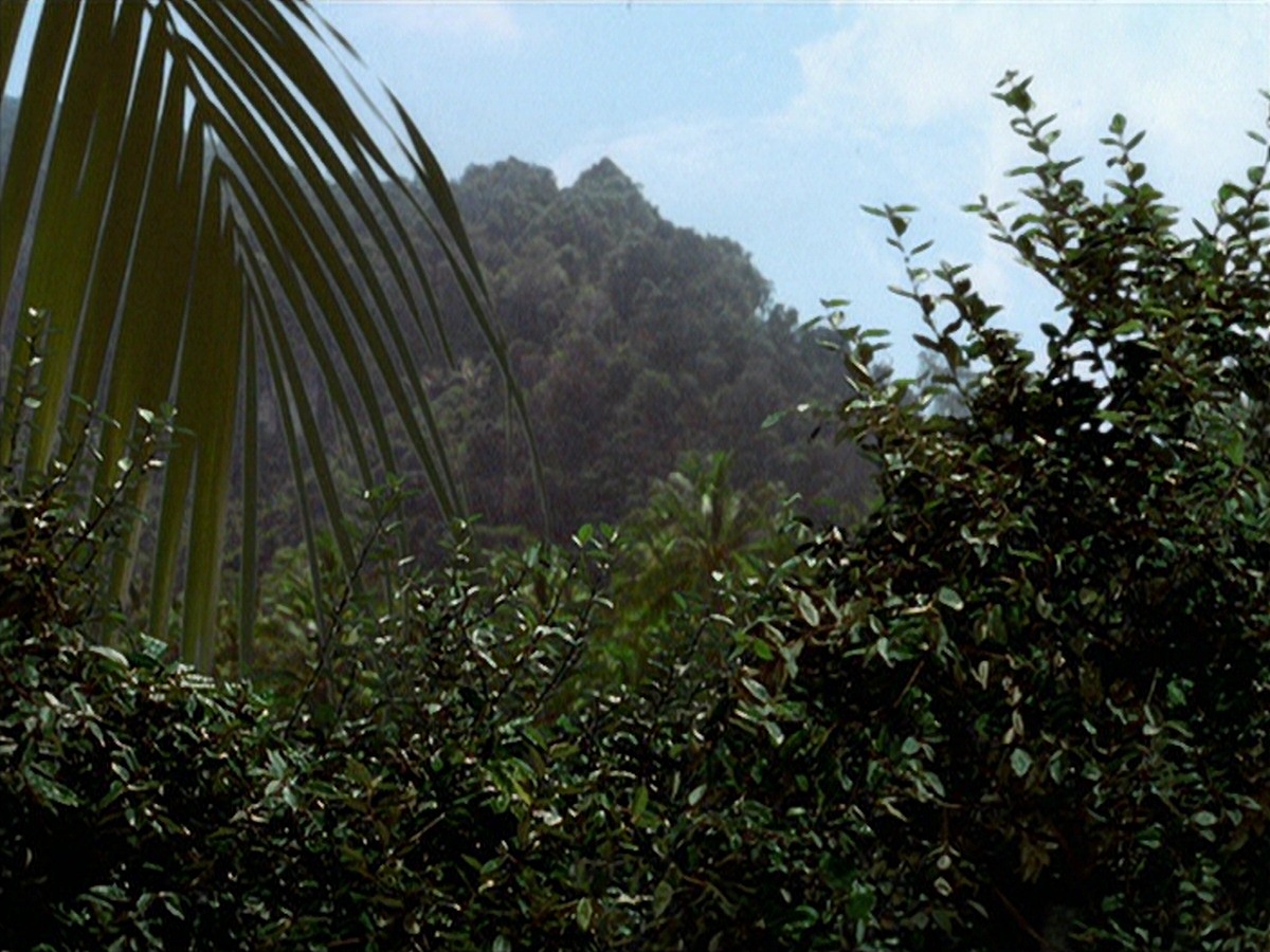 extant_StarTrek_VOY_7x22-NaturalLaw_1183.jpg